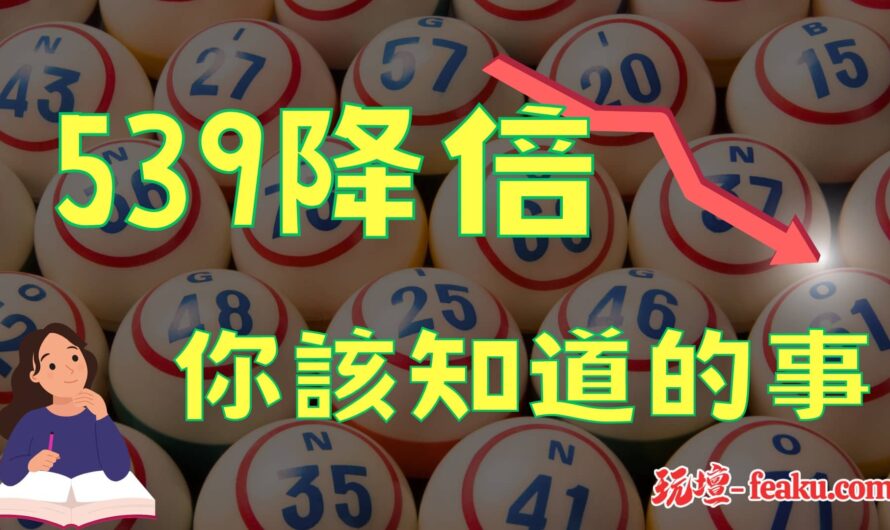 539降倍你該知道的事｜提高勝率的關鍵秘密｜即時更新